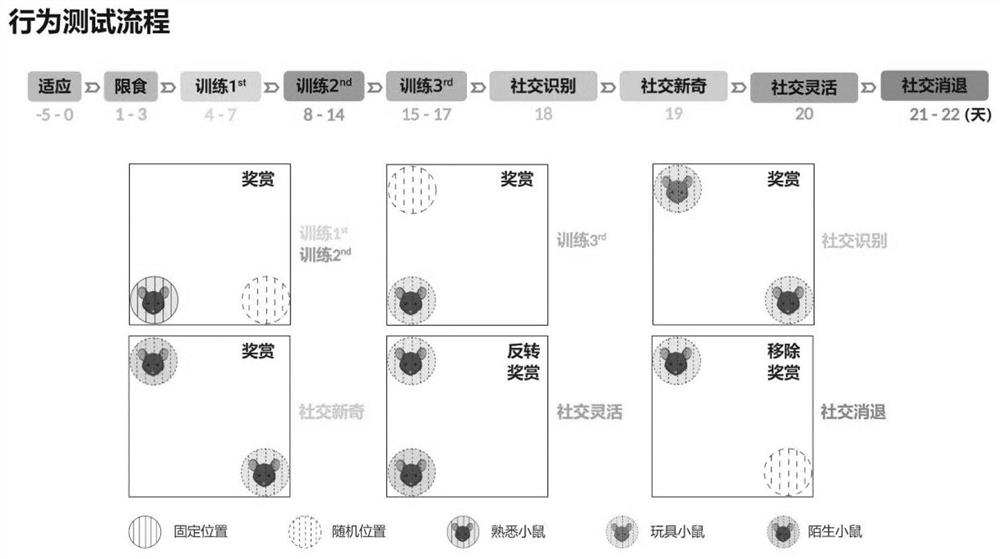 A device and method for detecting social interaction decision-making behavior of mice