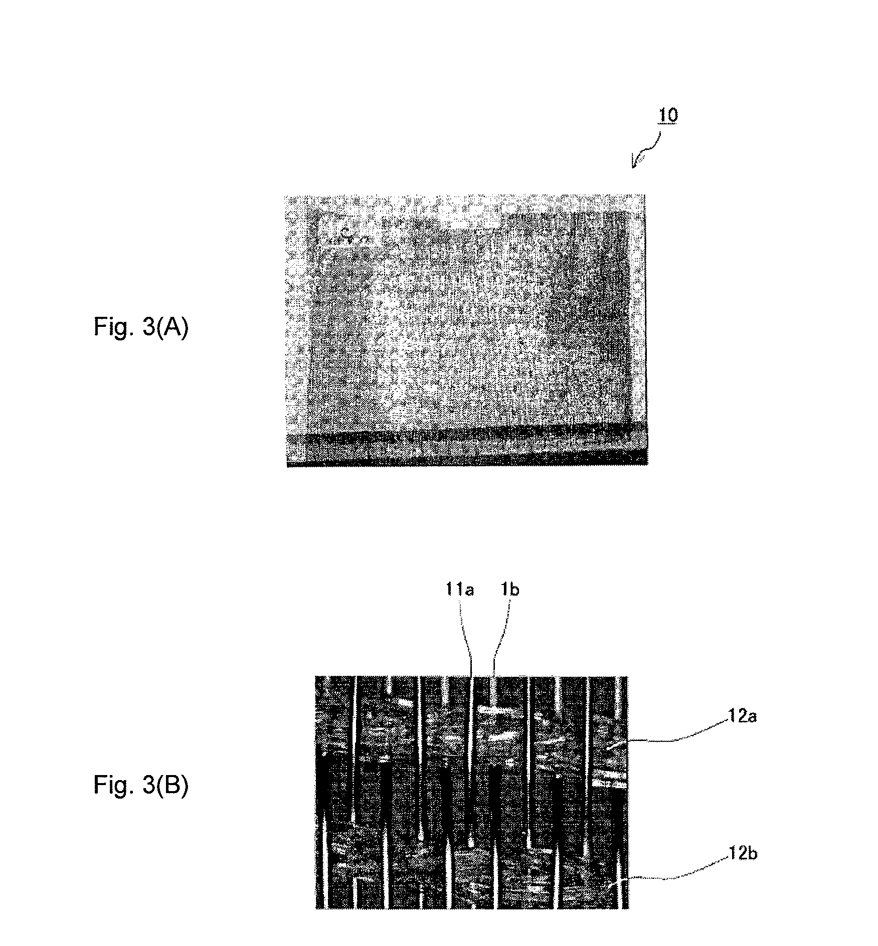 Wire Grid and Manufacturing Method Thereof