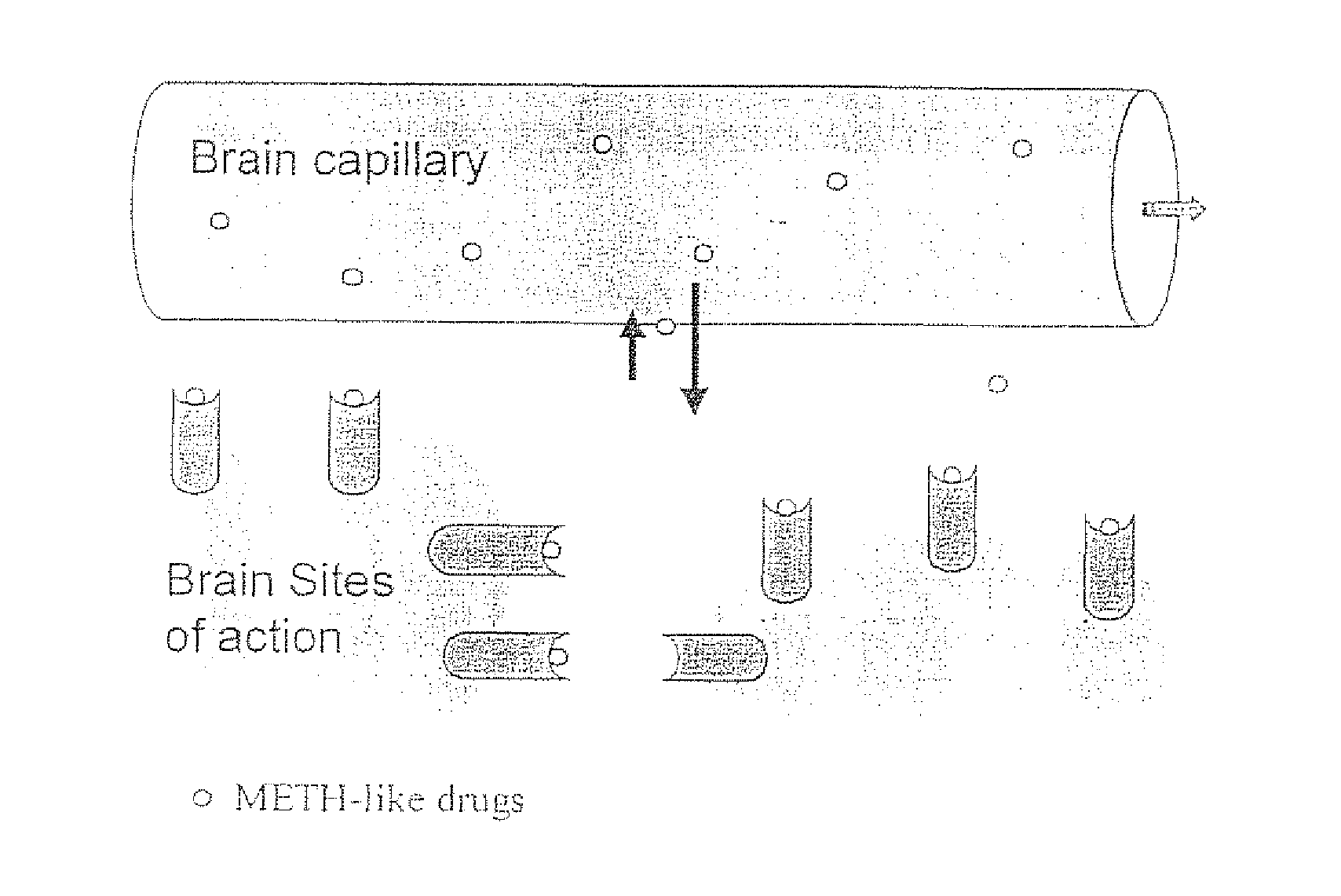 Methamphetamine-like hapten compounds, linkers, carriers and compositions and uses thereof