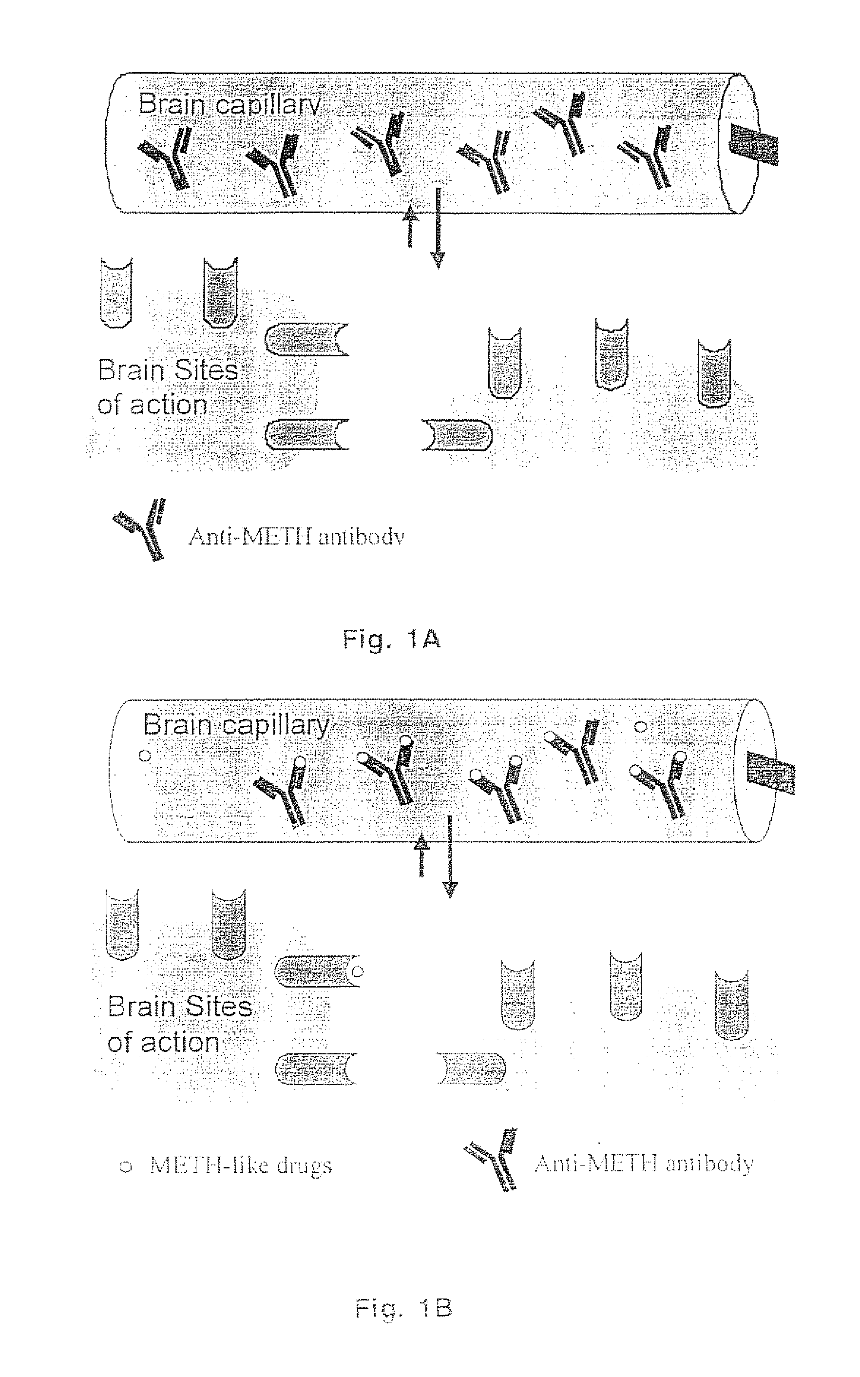 Methamphetamine-like hapten compounds, linkers, carriers and compositions and uses thereof