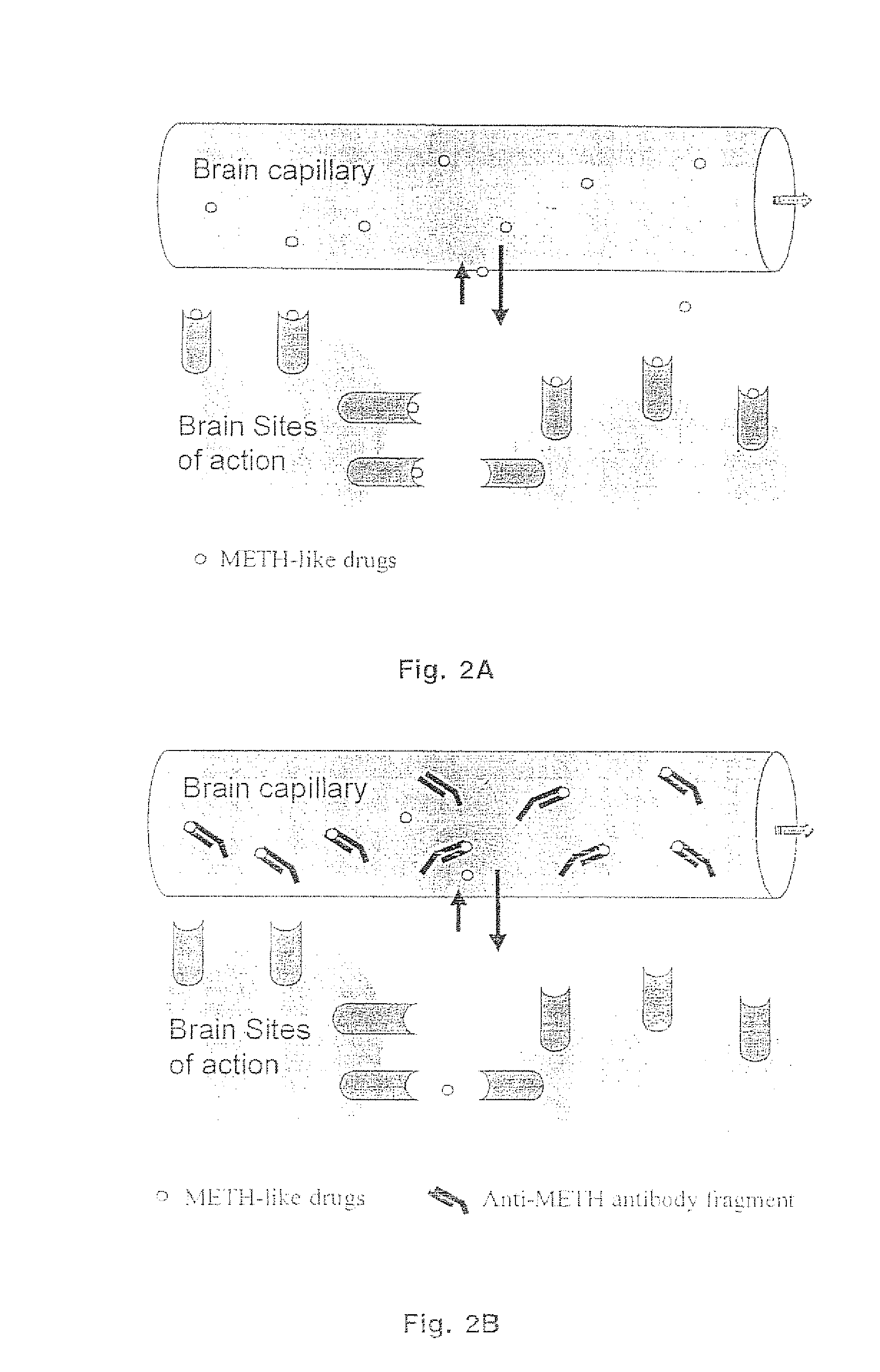 Methamphetamine-like hapten compounds, linkers, carriers and compositions and uses thereof