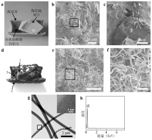 Preparation method of carbon nanofiber film without metal catalyst