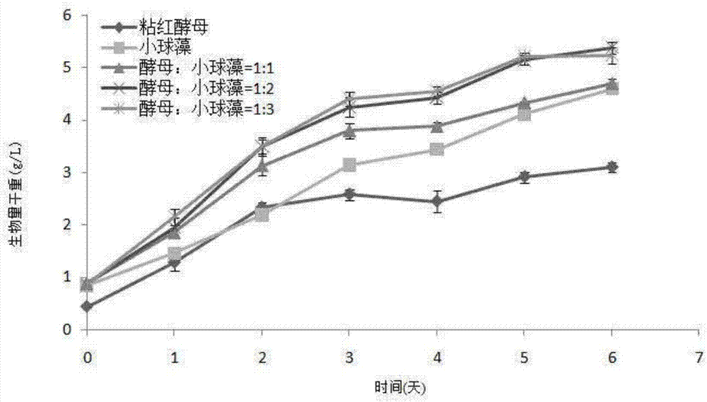 Method of purifying yeast wastewater by co-culture of chlorella and yeast