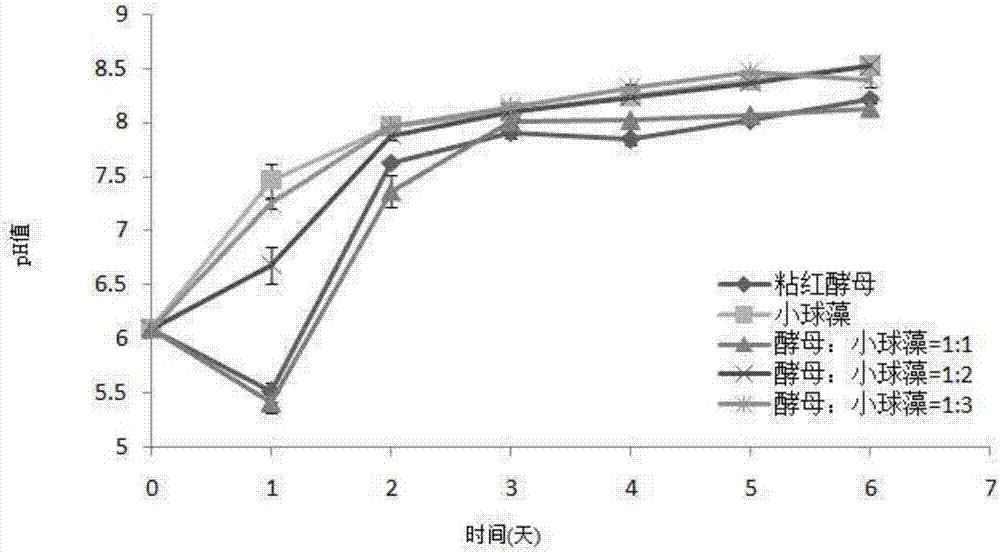 Method of purifying yeast wastewater by co-culture of chlorella and yeast