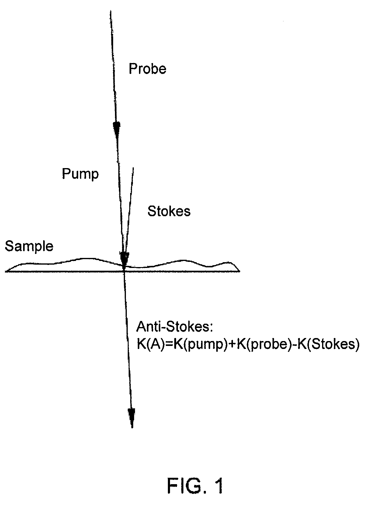 Spatial heterodyne wide-field Coherent Anti-Stokes Raman spectromicroscopy