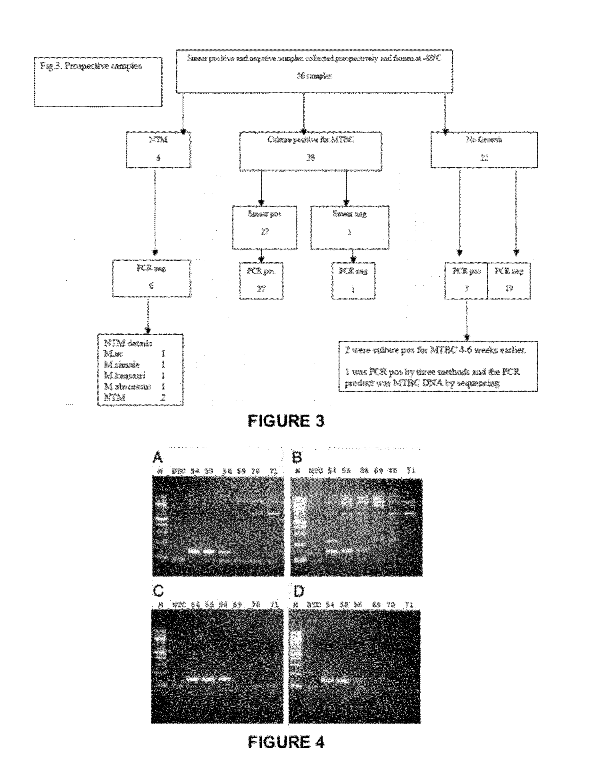 Method and/or primers for the detection of mycobacterium tuberculosis