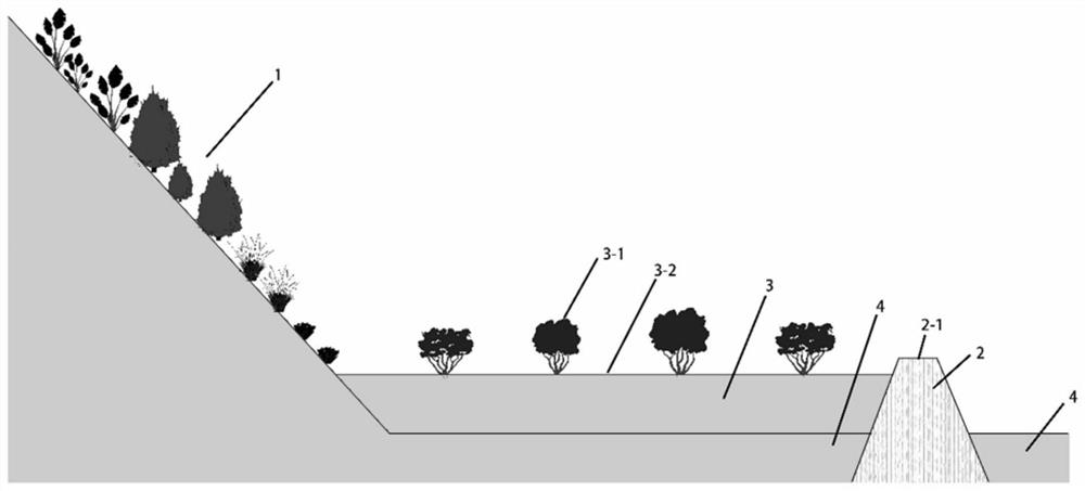 Method for quickly creating or repairing mangrove forest by constructing levee foot submerged dam