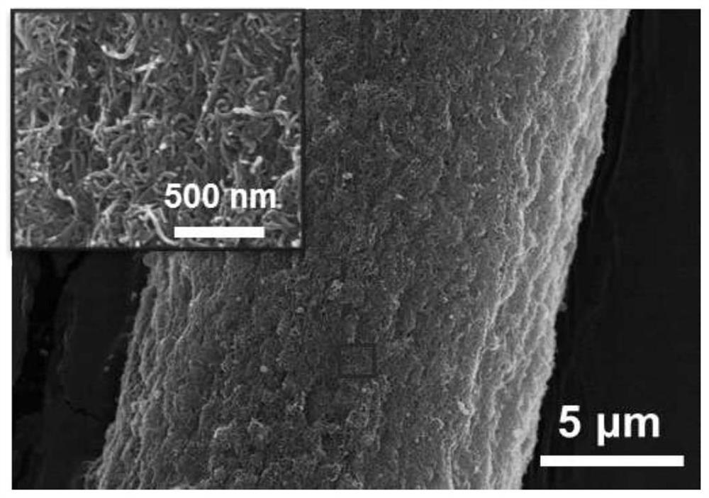 Electrophoretic deposition of carbon nanotubes modified carbon fiber electrode and its application in the detection of ascorbic acid in vivo