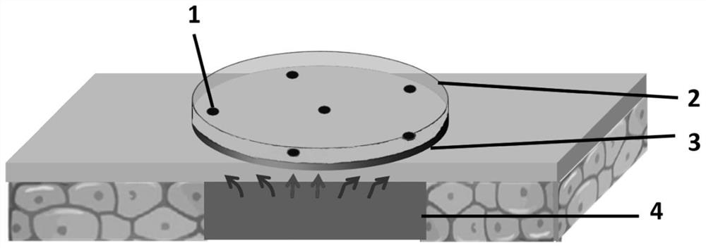 A flexible skin electrical impedance detection device and skin electrical impedance detection method