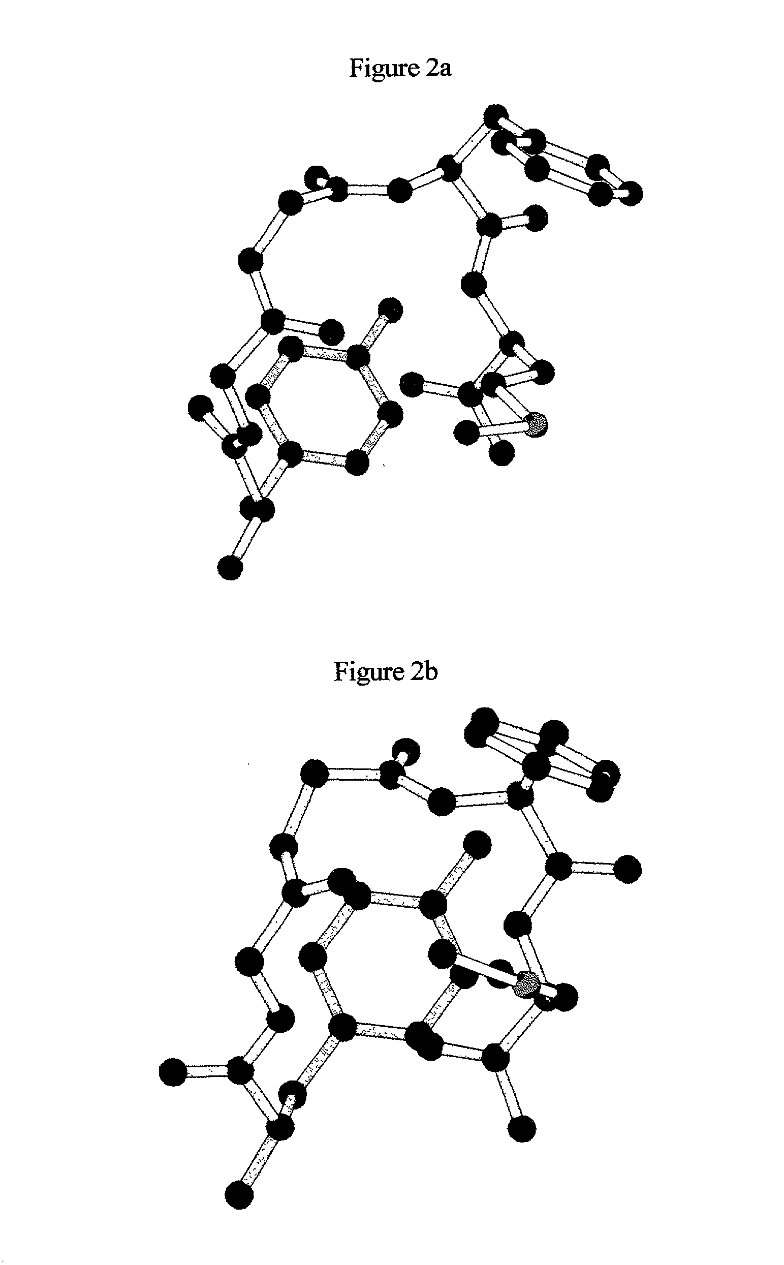 Method and system to build optimal models of 3-dimensional molecular structures