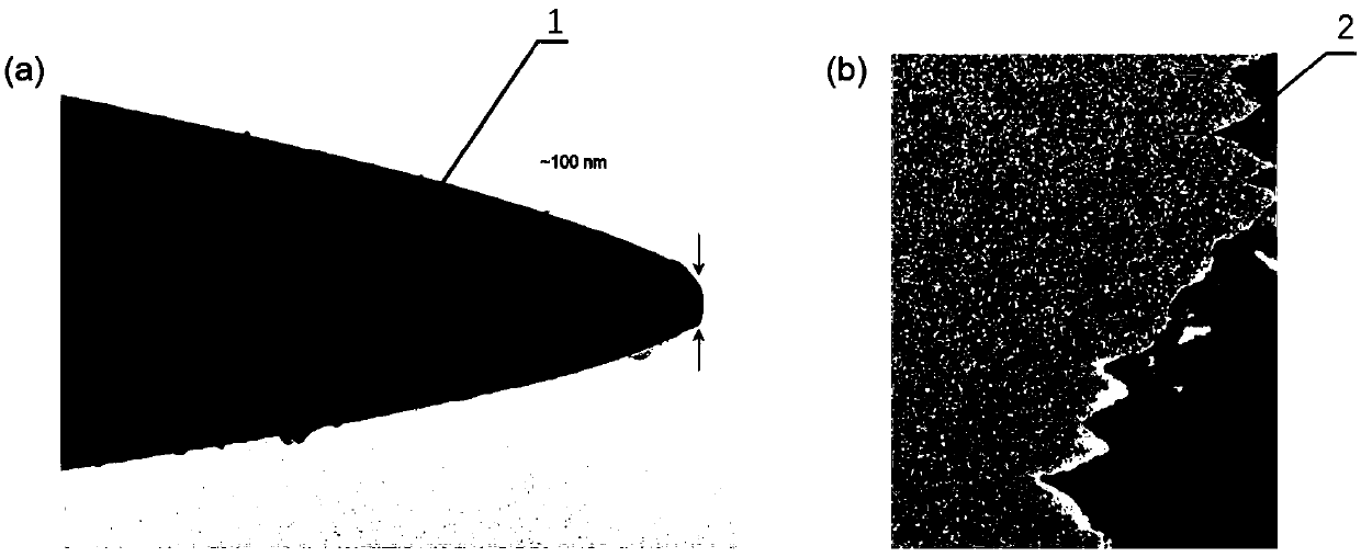 A kind of preparation method and device of ultrafine atomic force microscope metal probe