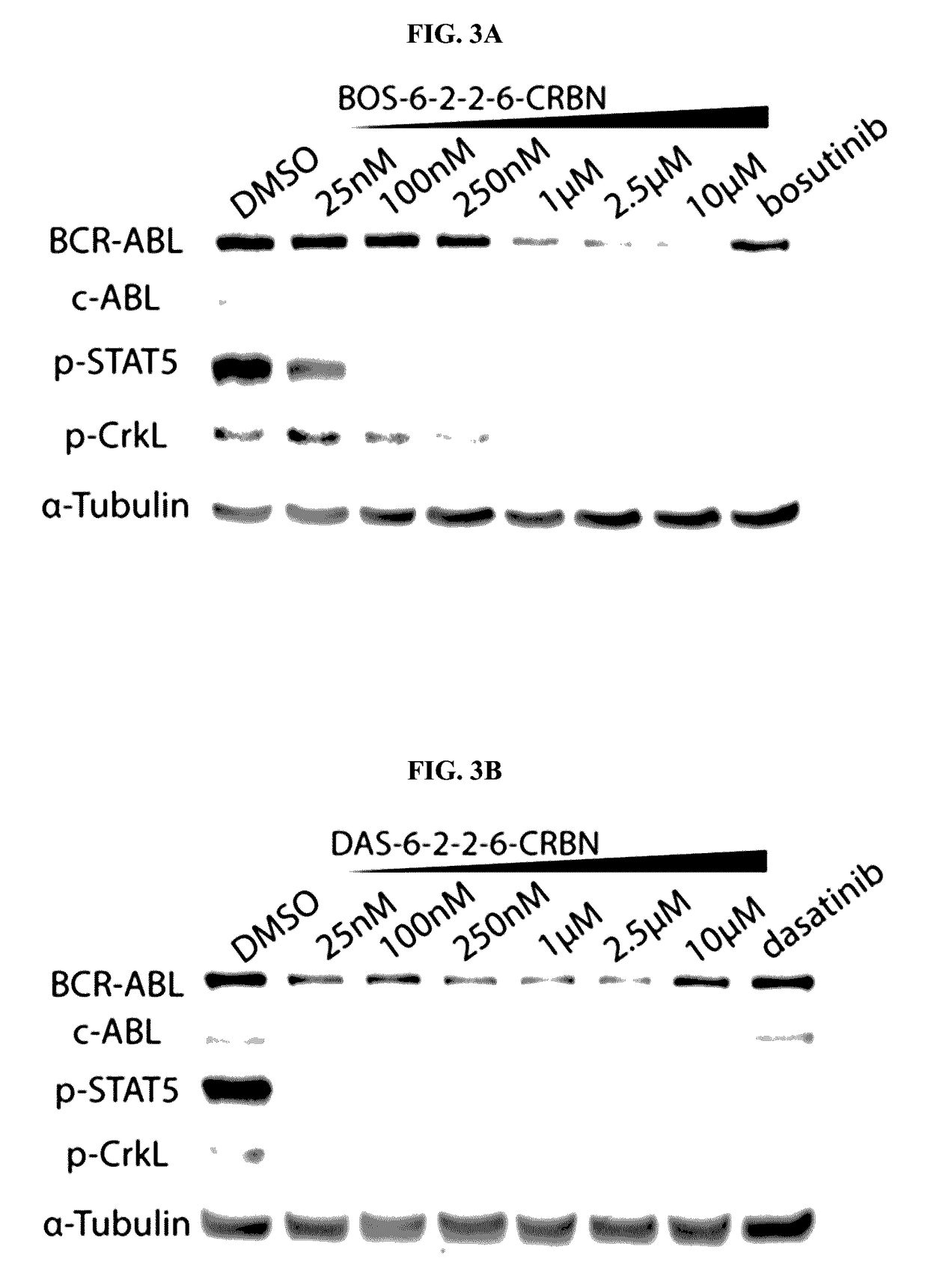 Proteolysis Targeting Chimera Compounds and Methods of Preparing and Using Same