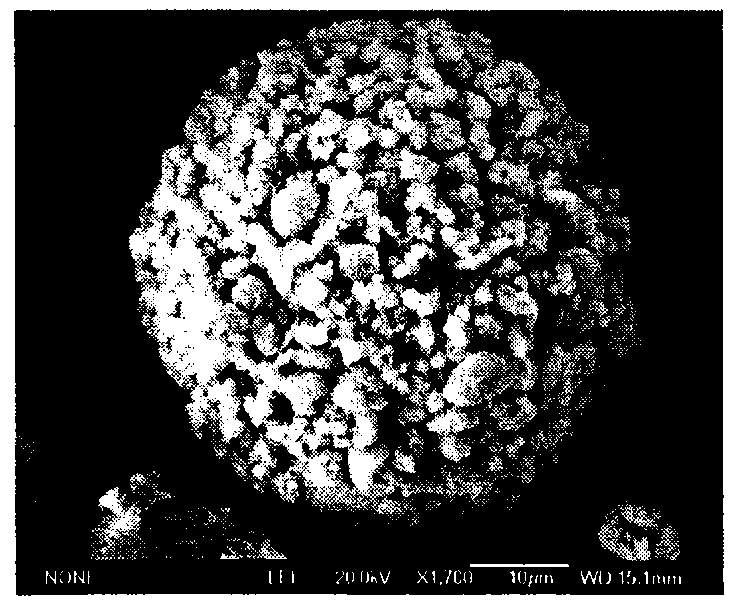 Preparation method of macroporous large specific surface magnetic photocatalyst Fe3O4/TiO2