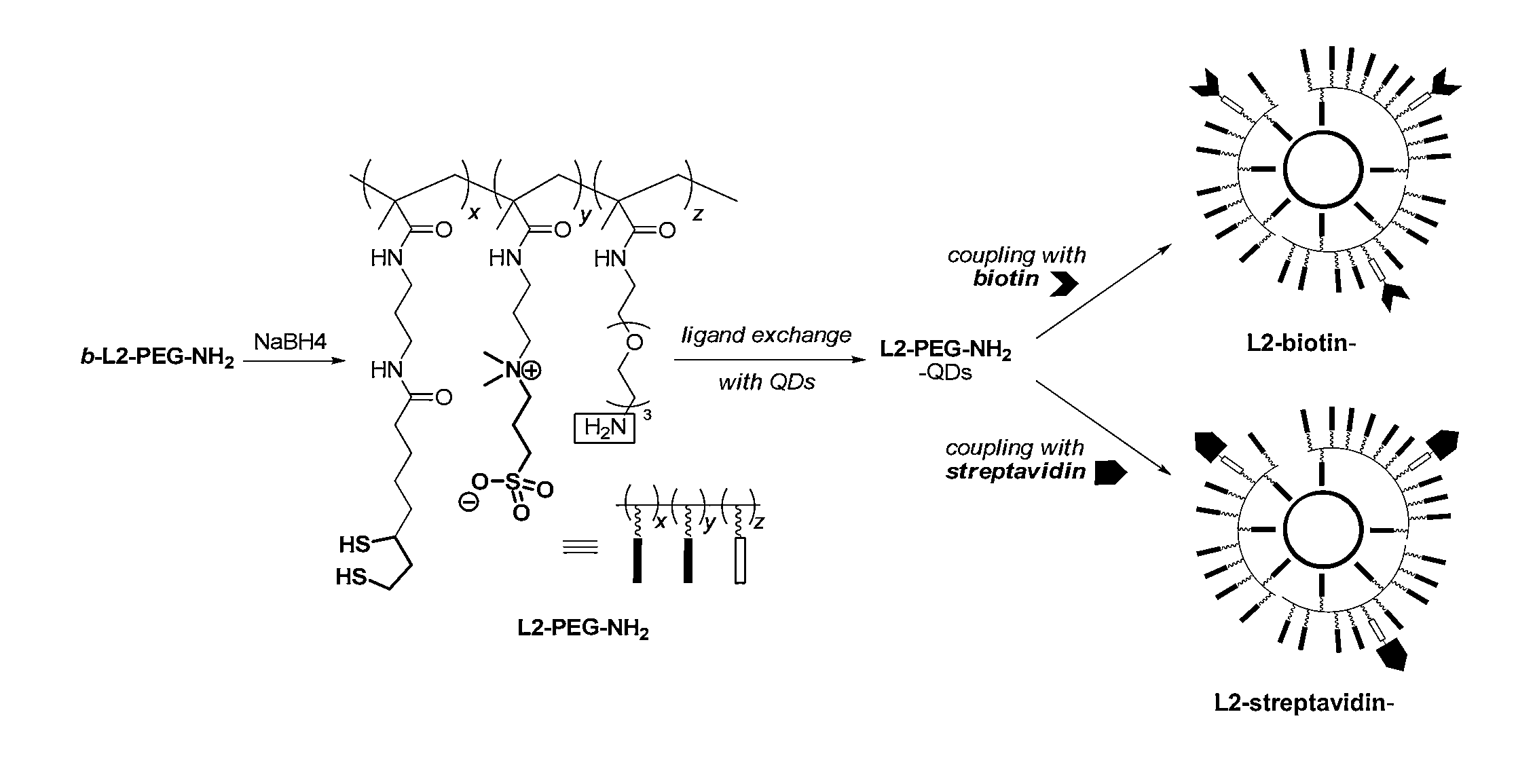 Enhanced affinity ligands