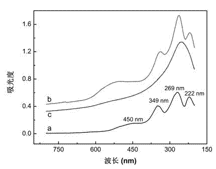 High-sensitivity fullerene photoelectric chemical probe and preparation method thereof