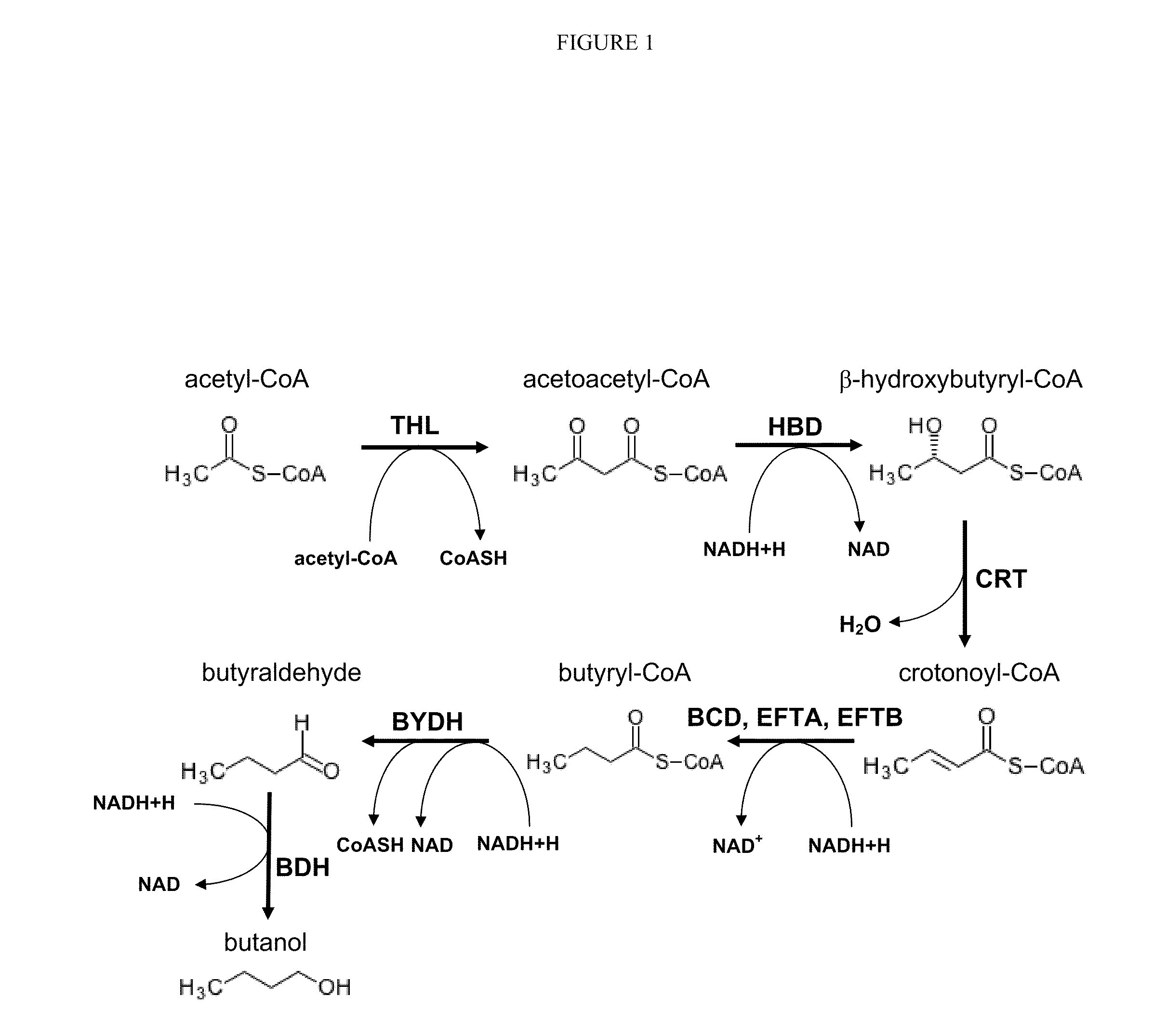 Methods for the production of n-butanol