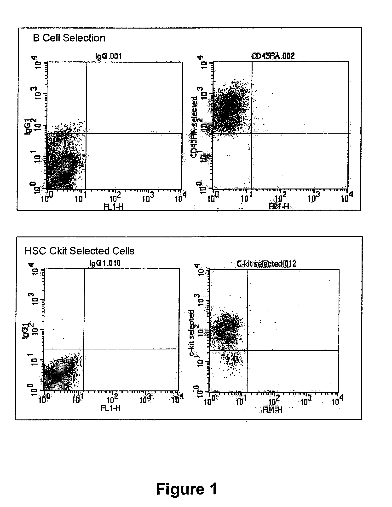 Recovery of Tissue Function Following Administration of B Cells to Injured Tissue