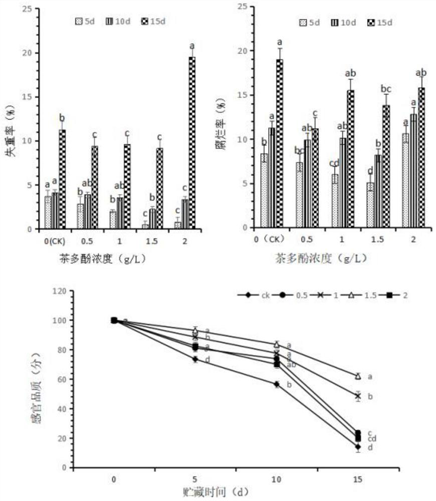 Allium mongolicum regel compound preservative containing nobiletin, and preparation method and use method of allium mongolicum regel compound preservative