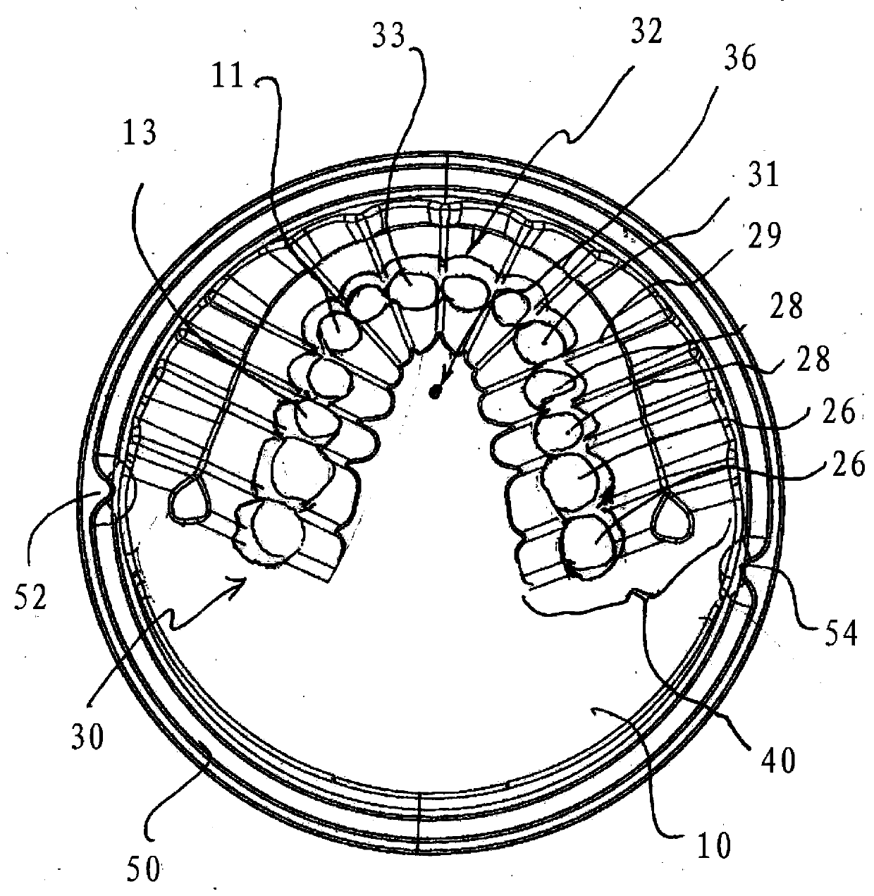 Dental prosthesis