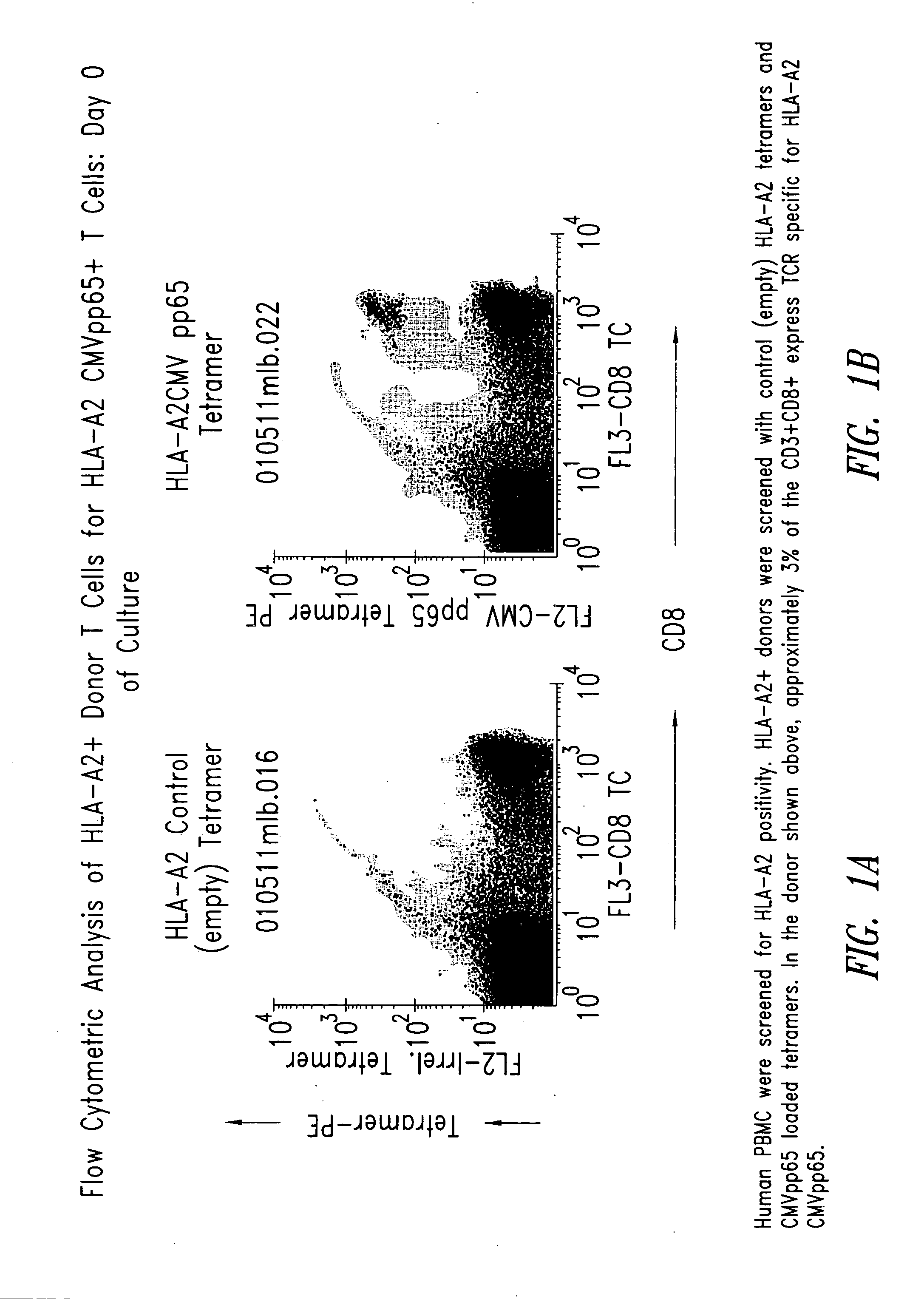 Compositions and methods for eliminating undesired subpopulations of T cells in patients with immunological defects related to autoimmunity and organ or hematopoietic stem cell transplantation