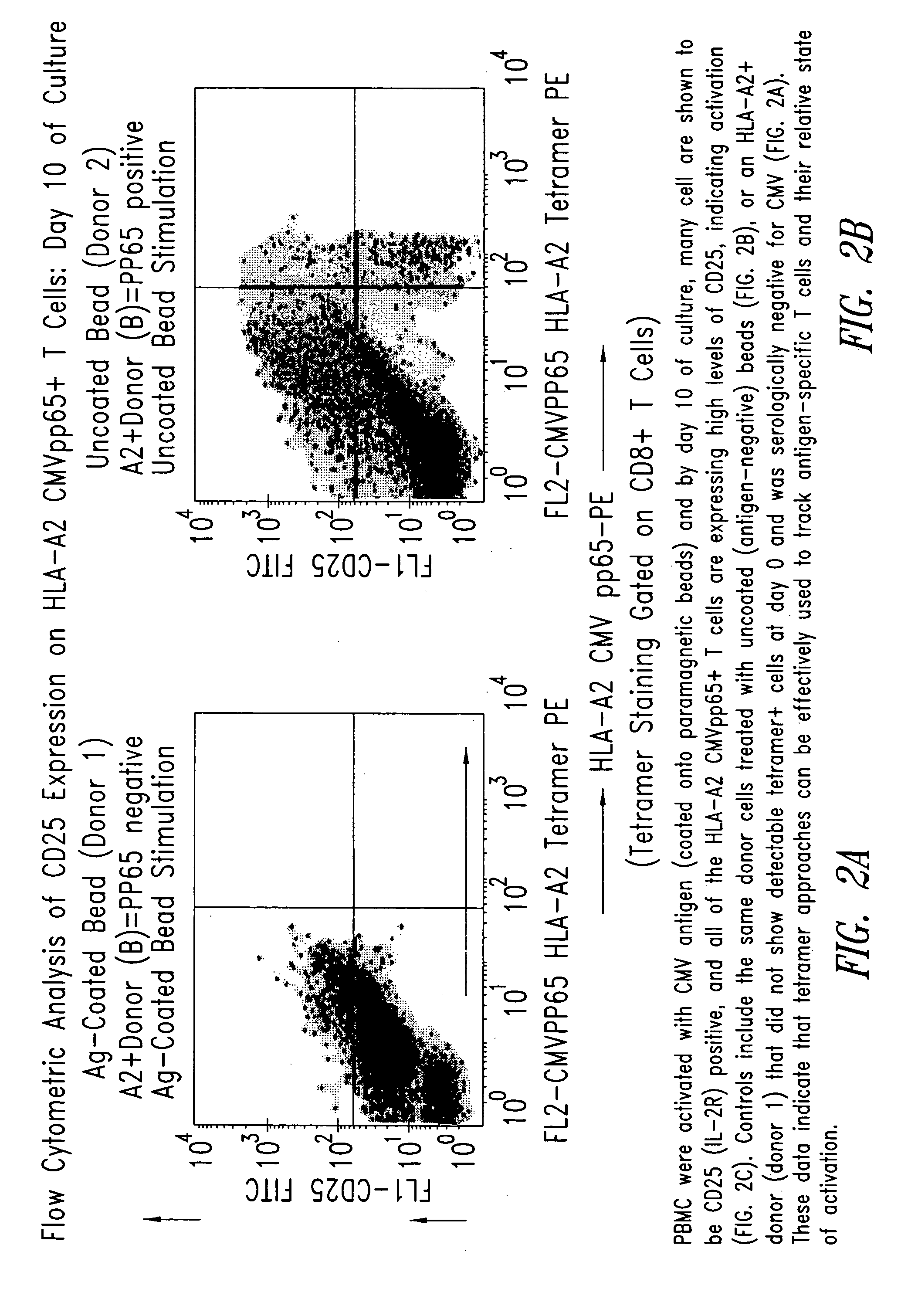 Compositions and methods for eliminating undesired subpopulations of T cells in patients with immunological defects related to autoimmunity and organ or hematopoietic stem cell transplantation