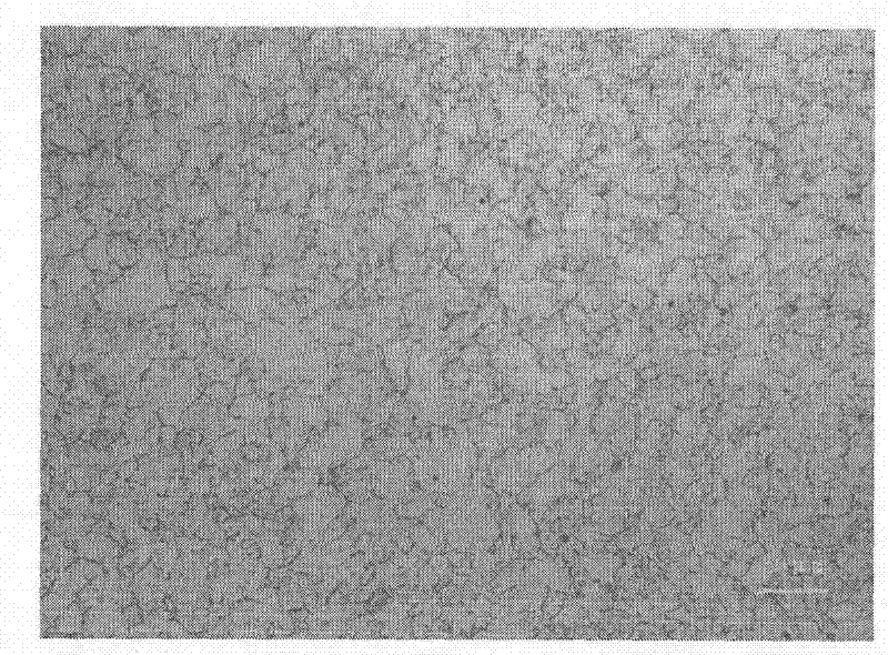 Method for displaying austenite grain boundary of low-carbon micro-alloy steel