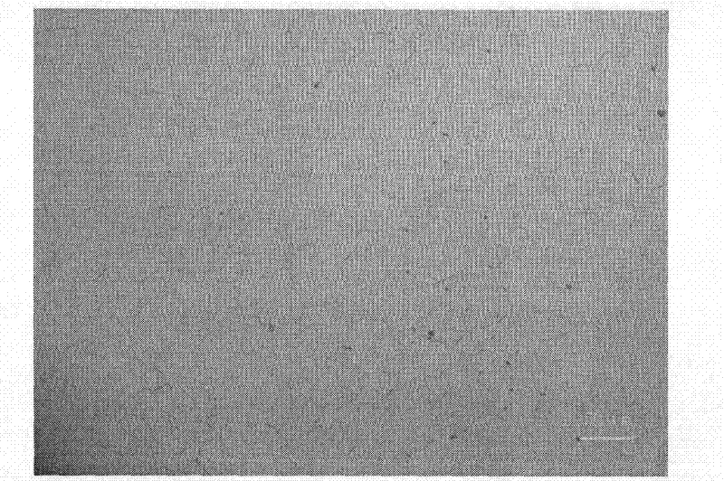 Method for displaying austenite grain boundary of low-carbon micro-alloy steel