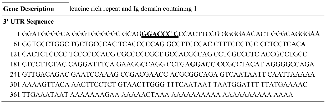 PF-127-mirna-615 agomir complex and its preparation method and application