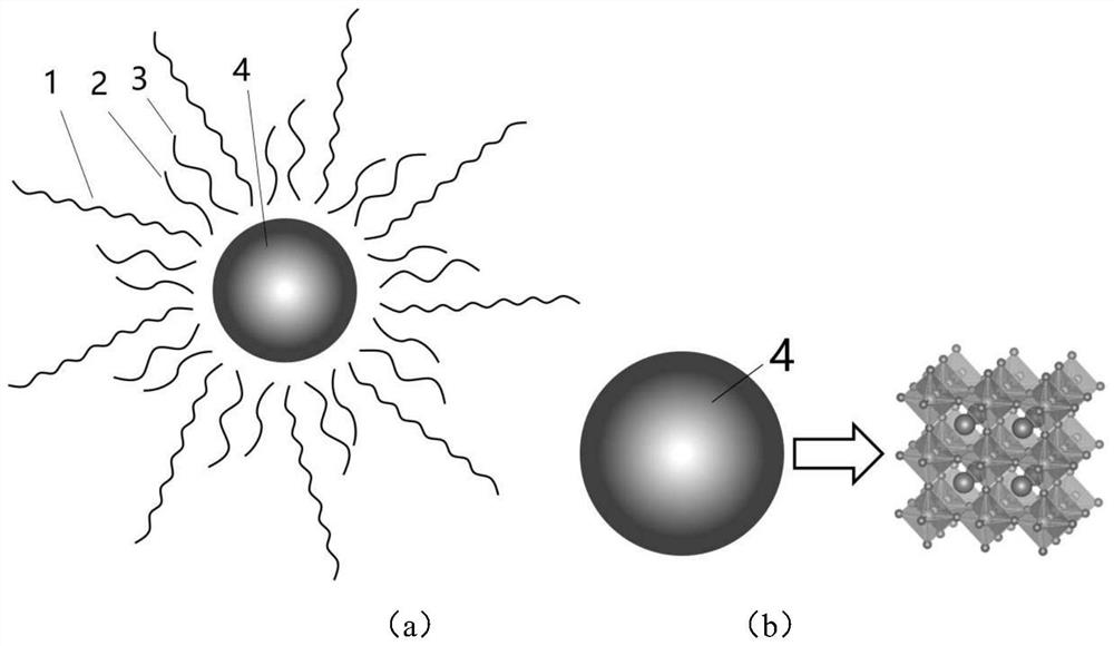 Perovskite quantum dot material with gas-sensitive property and application thereof