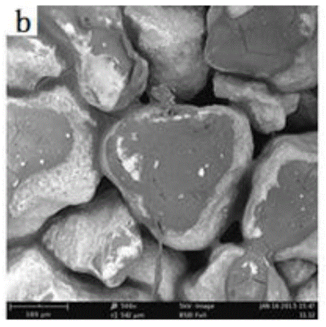 Preparation method of collagen-degradation-product-based sand-fixing water-retention agent