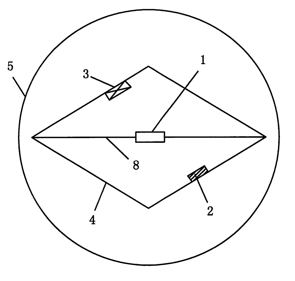 Detecting device and detecting method for pipeline leakage