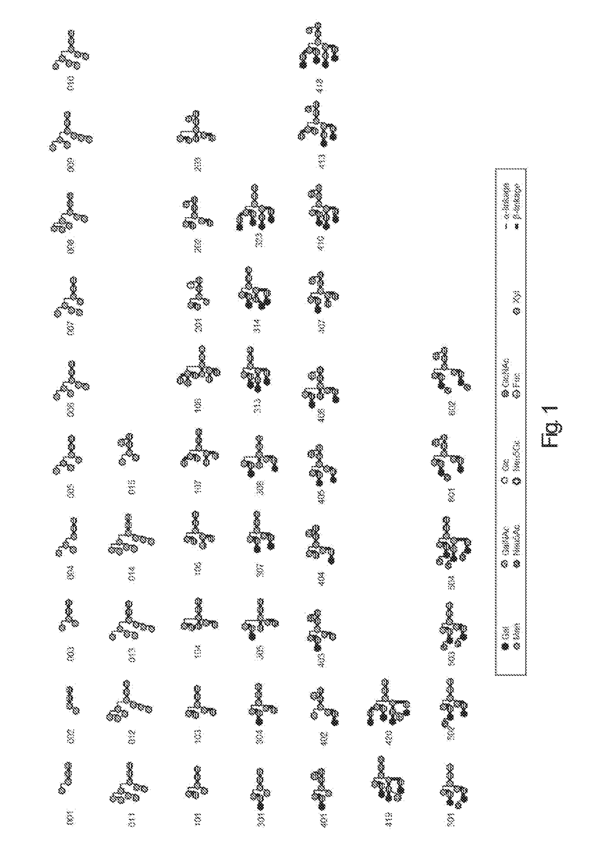 Method, biomarker and diagnostic agent for detection of high-risk prostate cancer