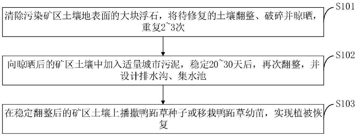 Ecological rehabilitation method for contaminated soil in copper mining ...