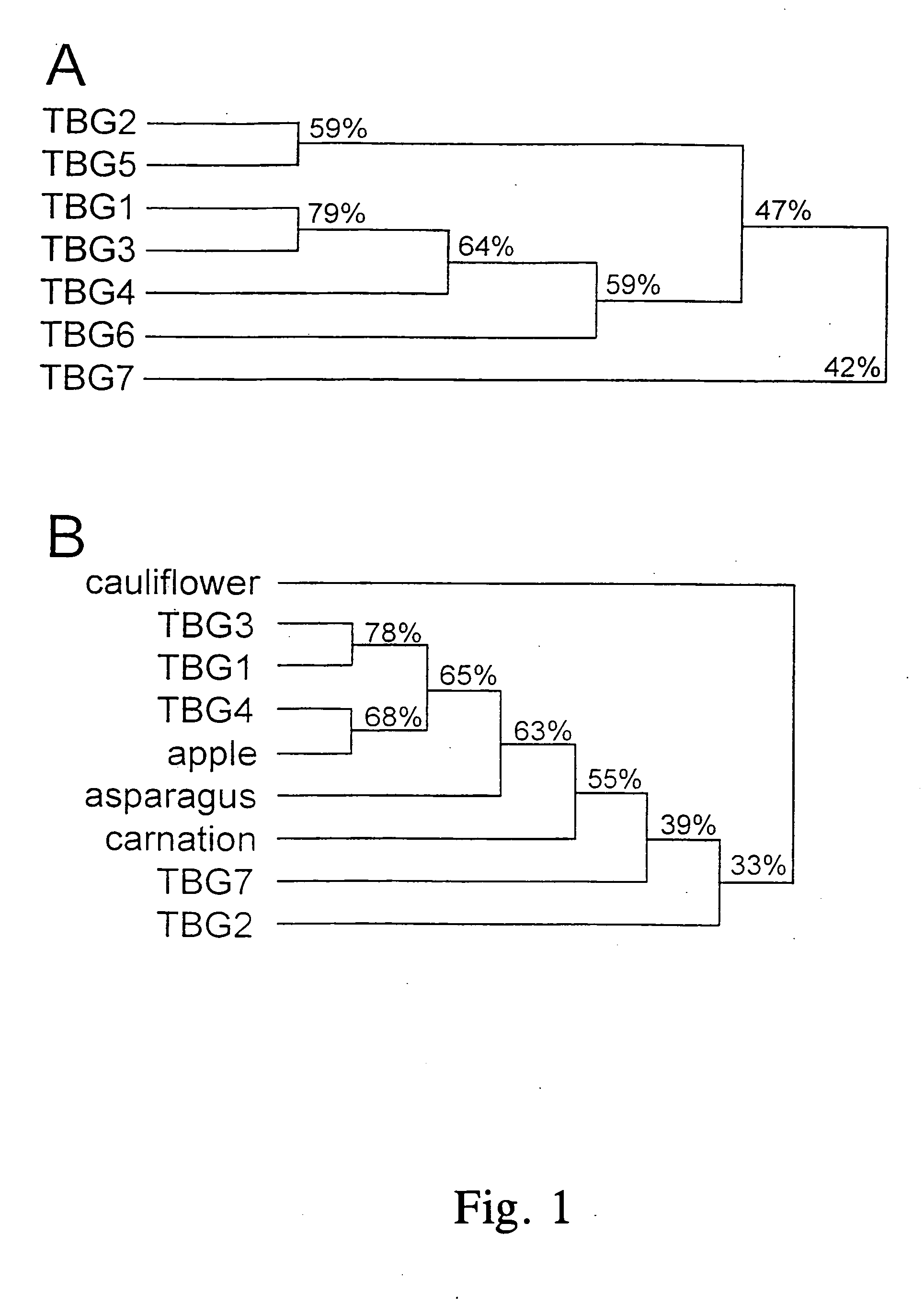 Genes coding for tomato beta-galactosidase polypeptides