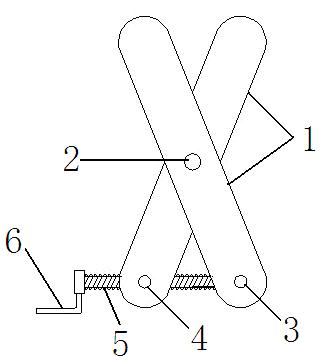 Belt adjuster for spin dryer