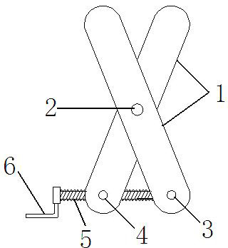 Belt adjuster for spin dryer