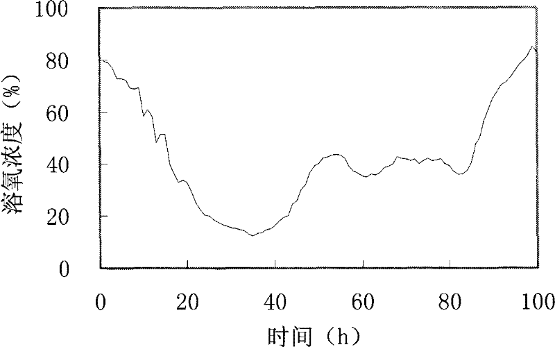 A culture method for Trichoderma reesei that improves cellulase production