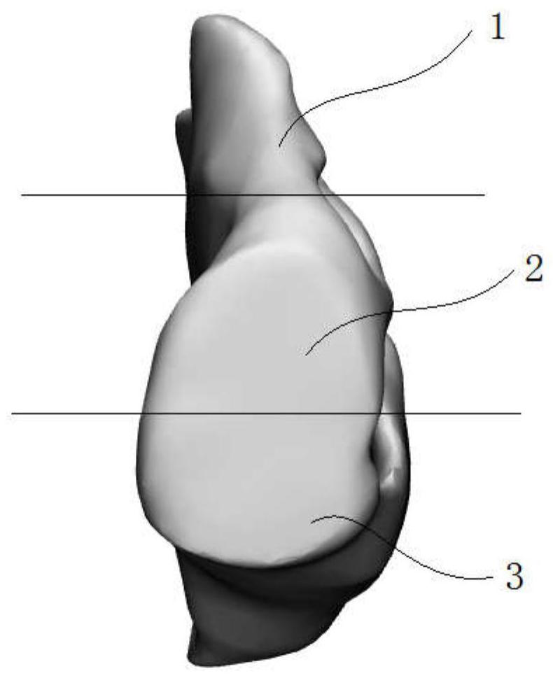 Nasal cavity filler for hemostasis and manufacturing method of nasal cavity filler