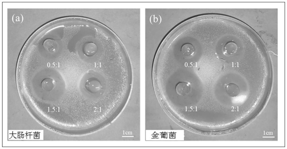 Application of polyethyleneimine-cellulose composite gel