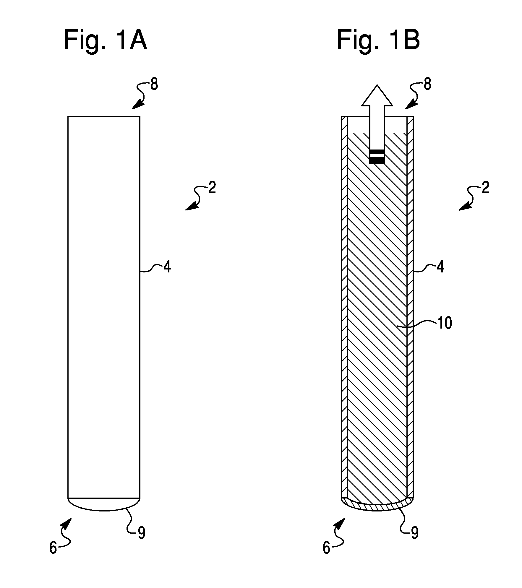 Methods For The Isolation, Accumulation, Characterization And/Or Identification Of Microorganisms Using A Filtration And Sample Transfer Device