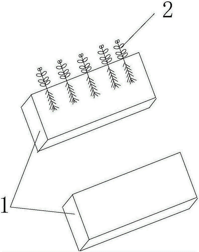 Industrial production method for potato minituber by using foamed plastic as substrate