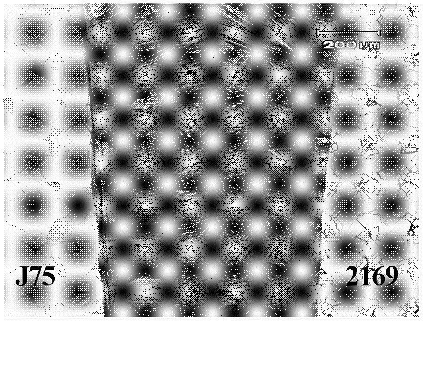 Method for welding heterogeneous austenitic stainless steel plates