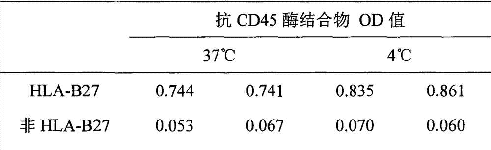 HLA-B27 magnetic ELISA reagent kit and method for producing the same