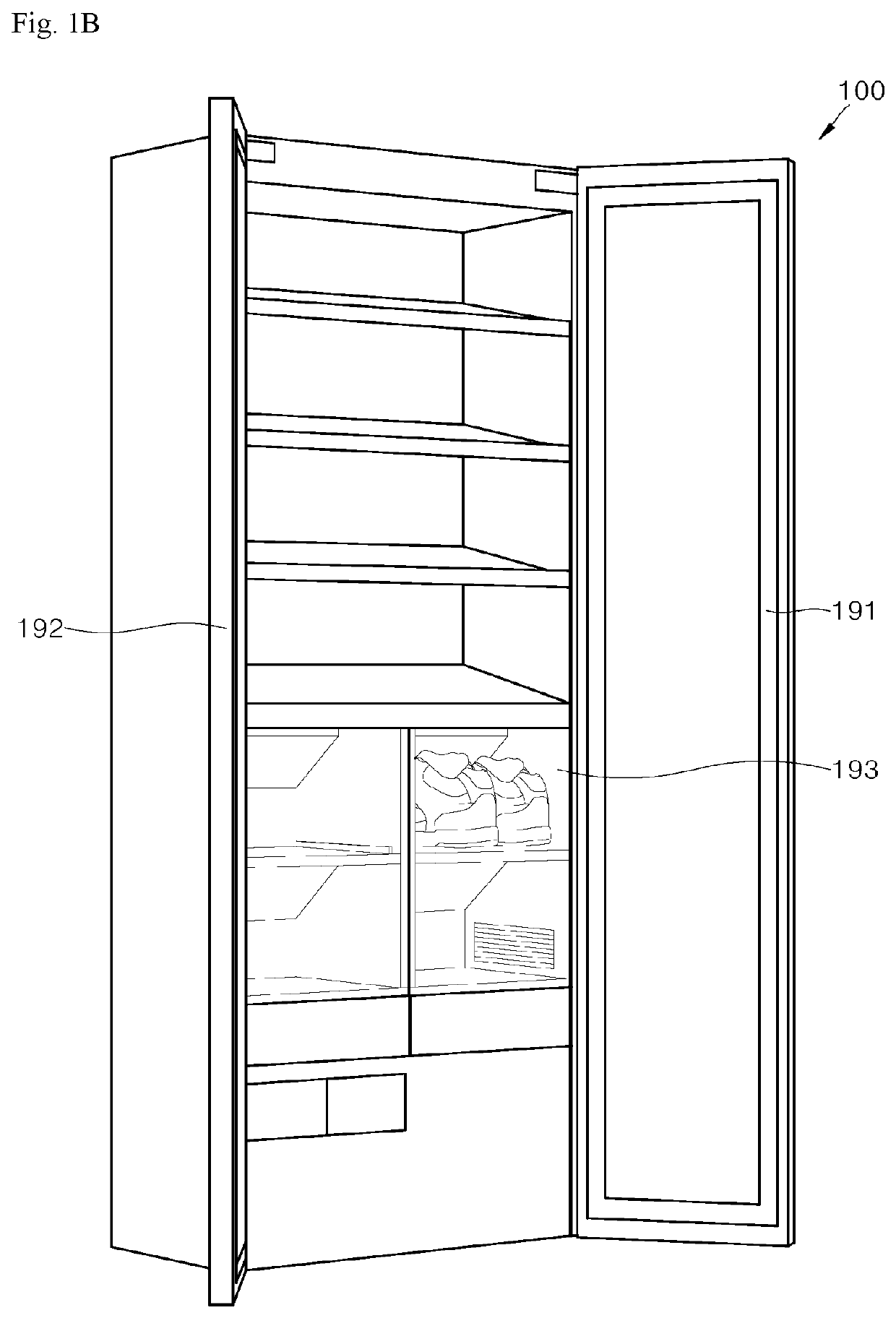 Apparatus and method for treating shoes