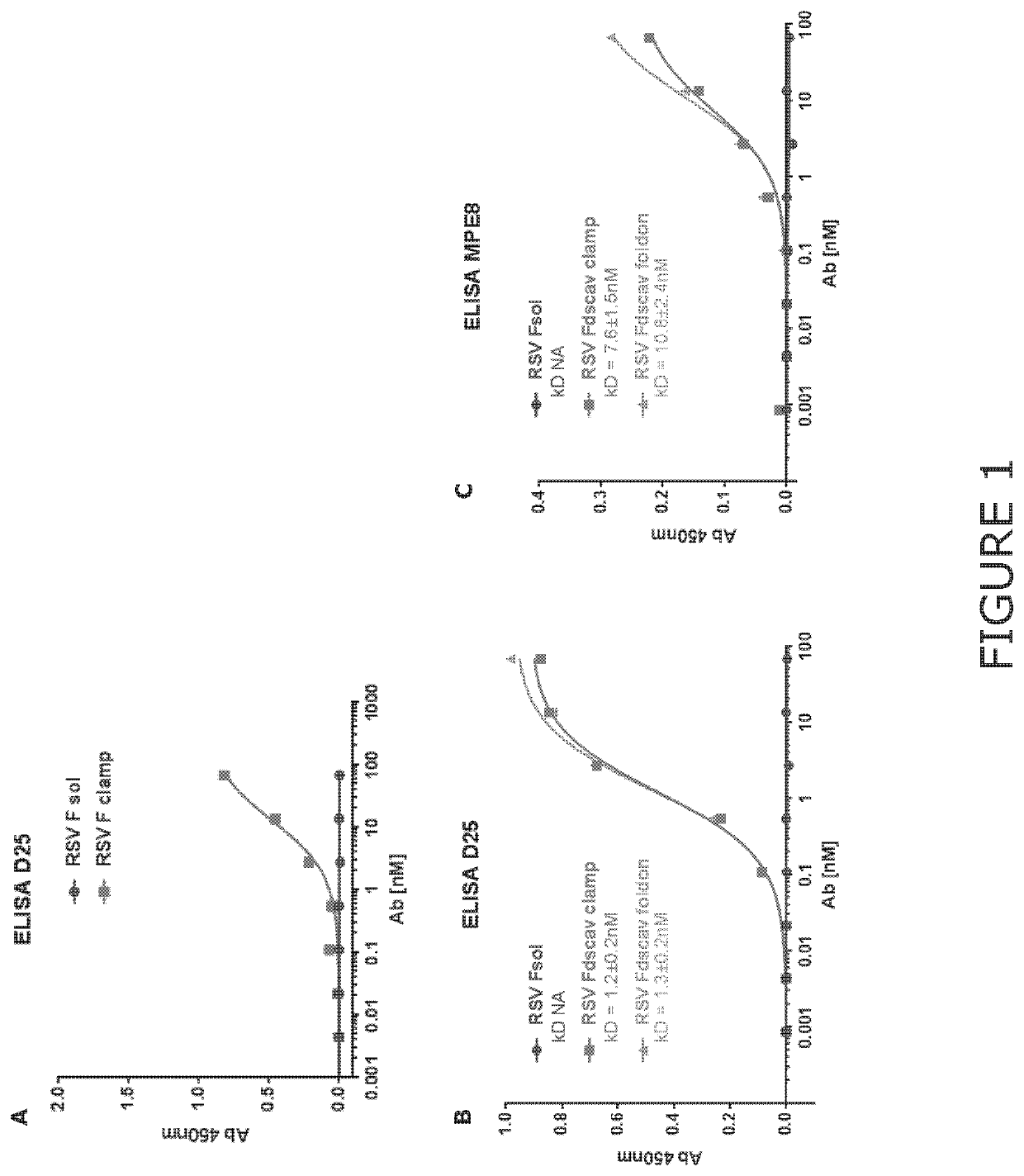 Chimeric molecules and uses thereof