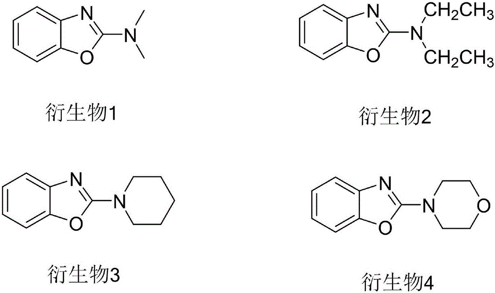 Epoxidase-2 and application of inhibitor thereof for bladder cancer