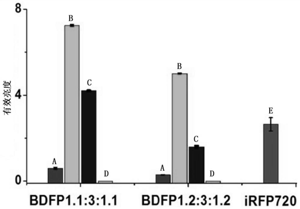 A fusion protein containing apce2 mutant and its application