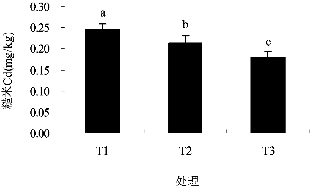 Method for reducing rice cadmium accumulation in acid light cadmium pollution soil