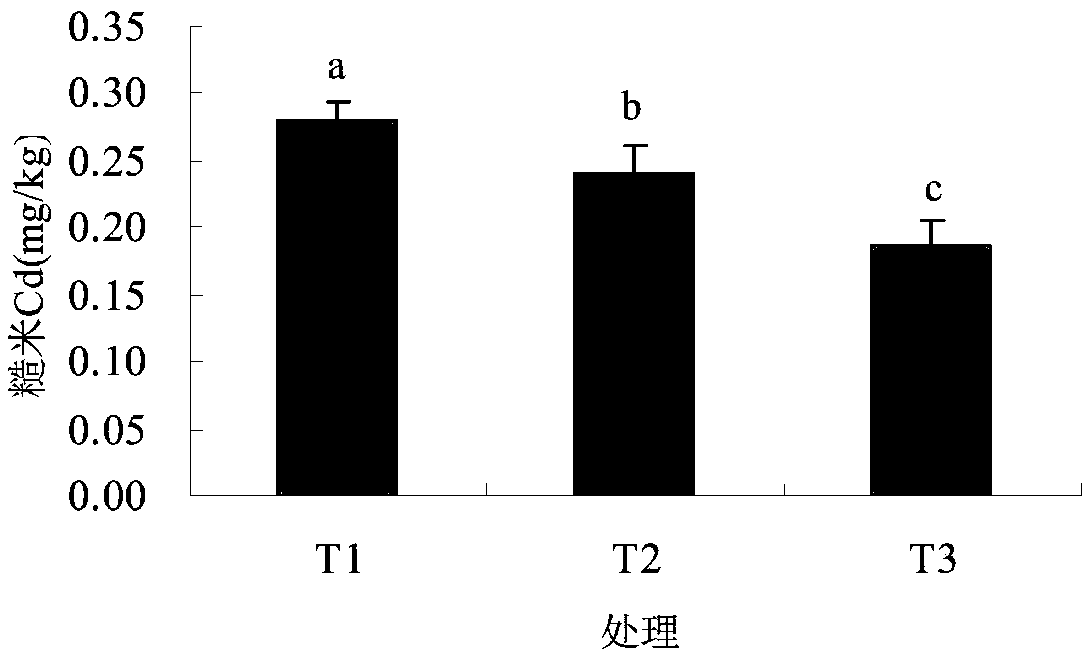 Method for reducing rice cadmium accumulation in acid light cadmium pollution soil