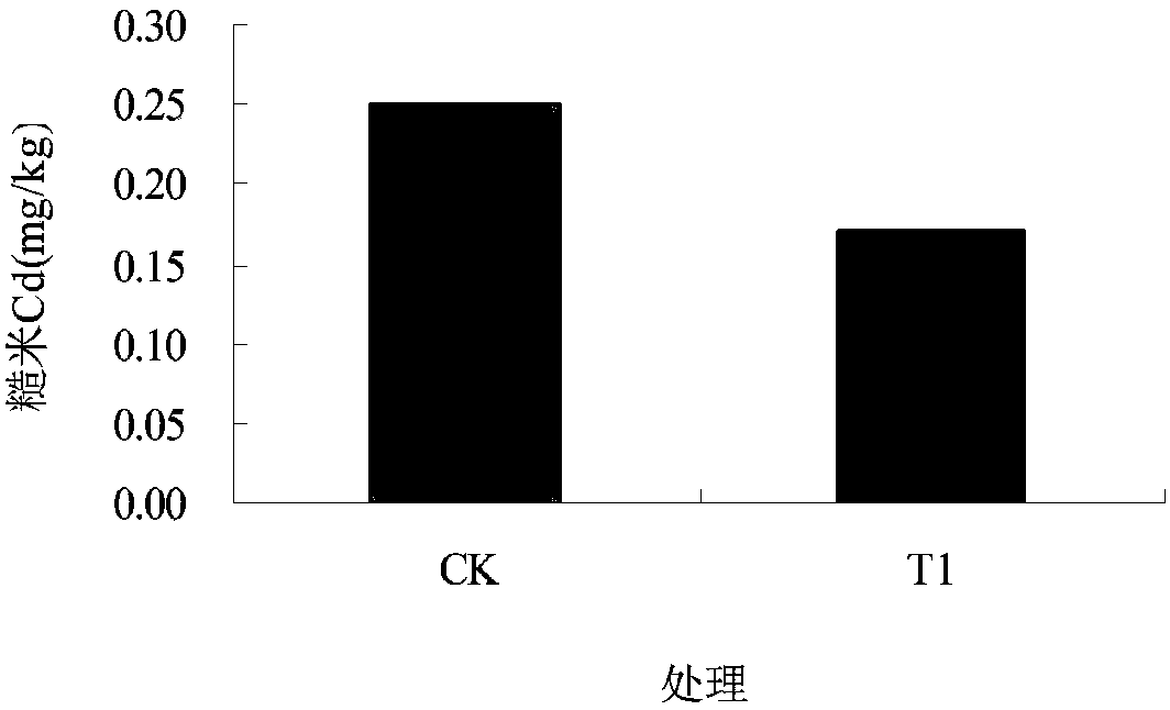 Method for reducing rice cadmium accumulation in acid light cadmium pollution soil